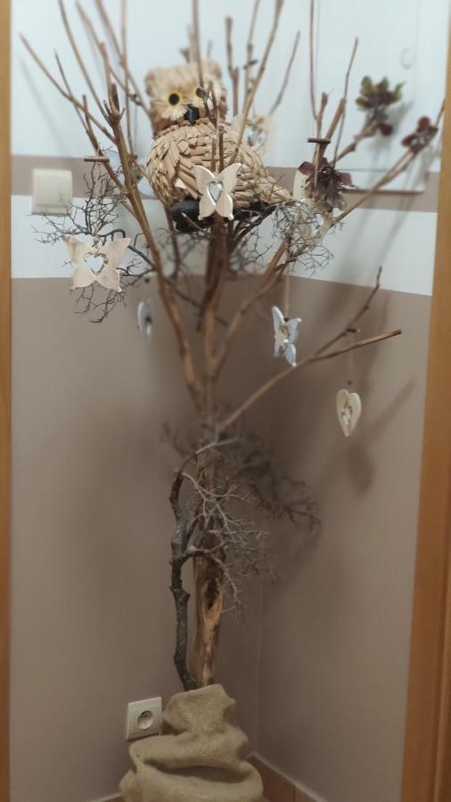 Margus Apartmany 오슈차드니차 외부 사진